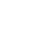 CASE 02